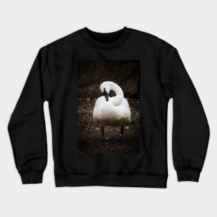 Elegant Swan Crewneck Sweatshirt